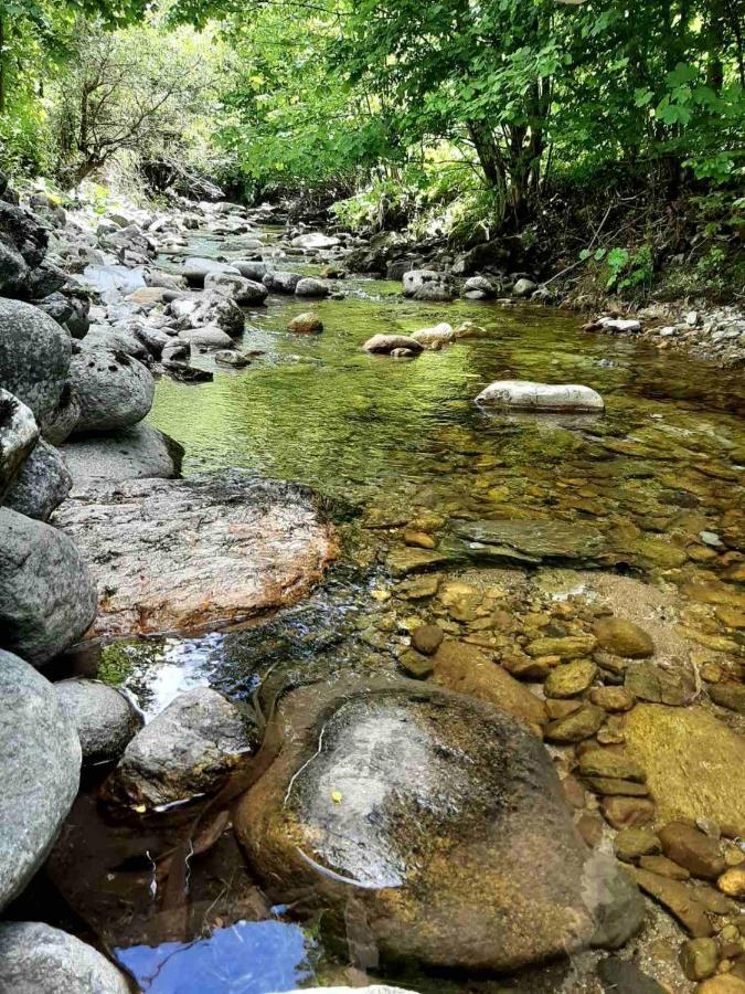 Resort Biela Skala - Chata Chopok Jasna Juh Bystra Luaran gambar